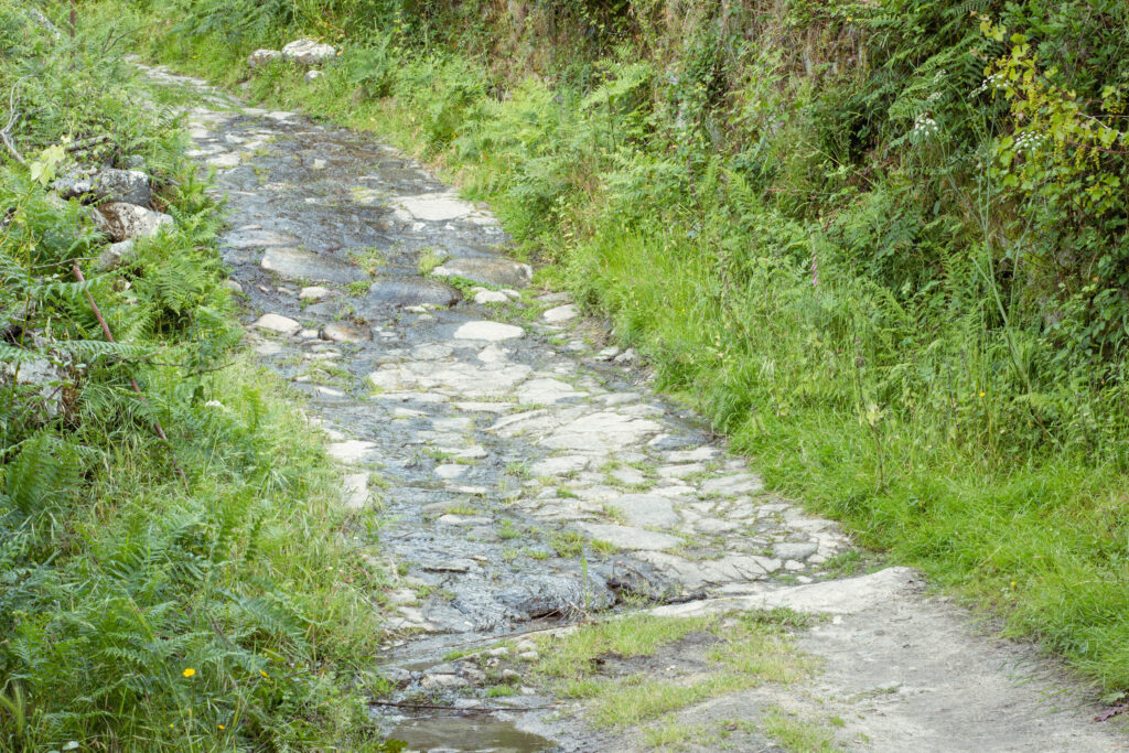 Calçada Romana Avo