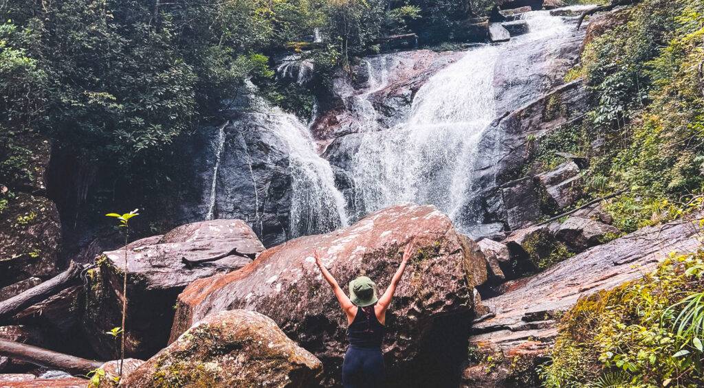 Floresta de Sinharaja - Sri Lanka