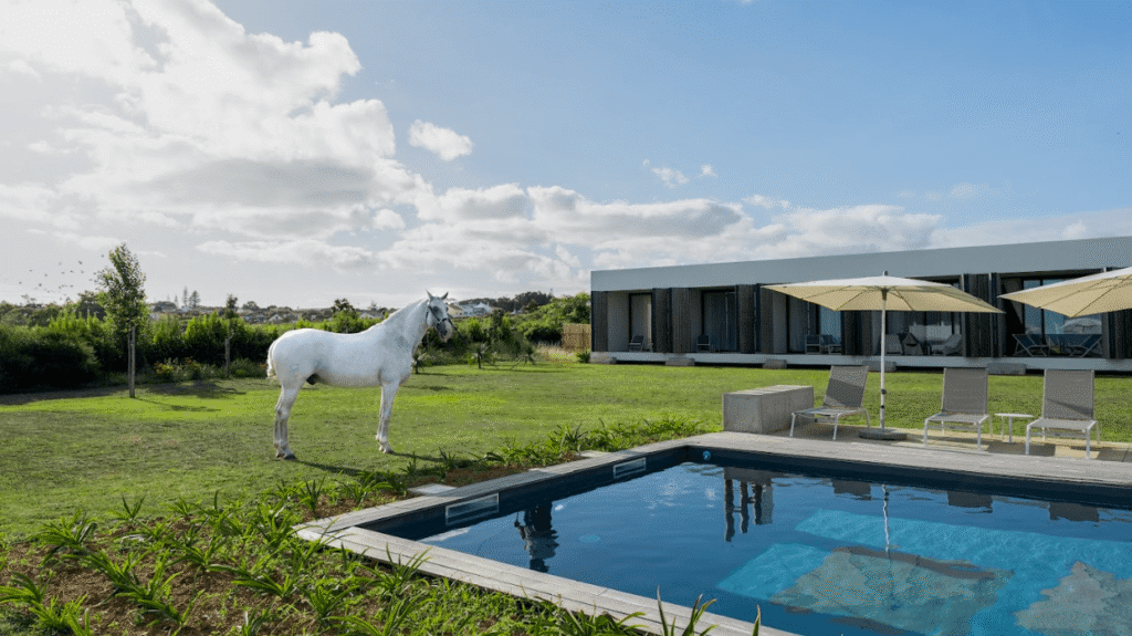 Alojamento em Ponta Delgada: Lusitano Garden Villas une tradição equestre e turismo 2 Lusitano Garden São Miguel